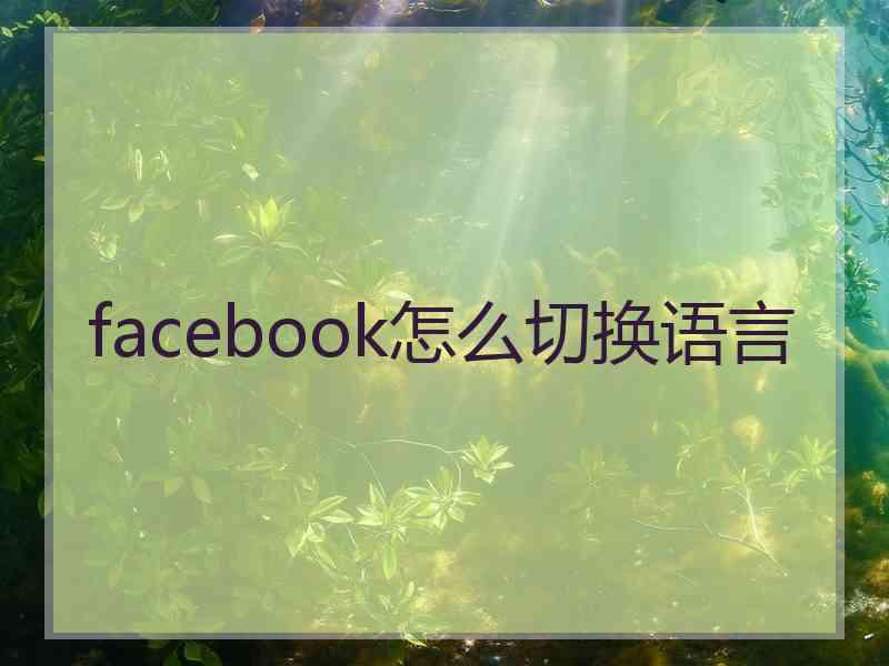 facebook怎么切换语言