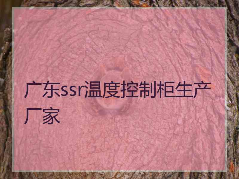 广东ssr温度控制柜生产厂家