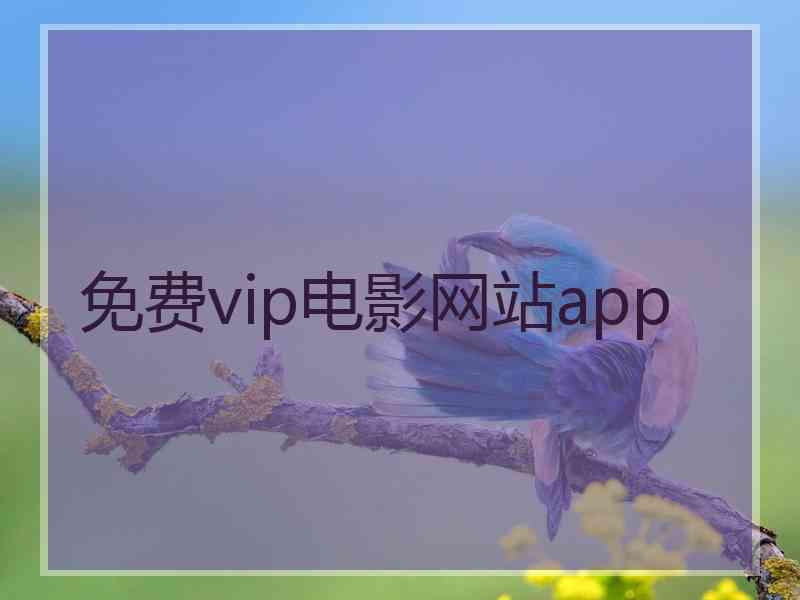 免费vip电影网站app