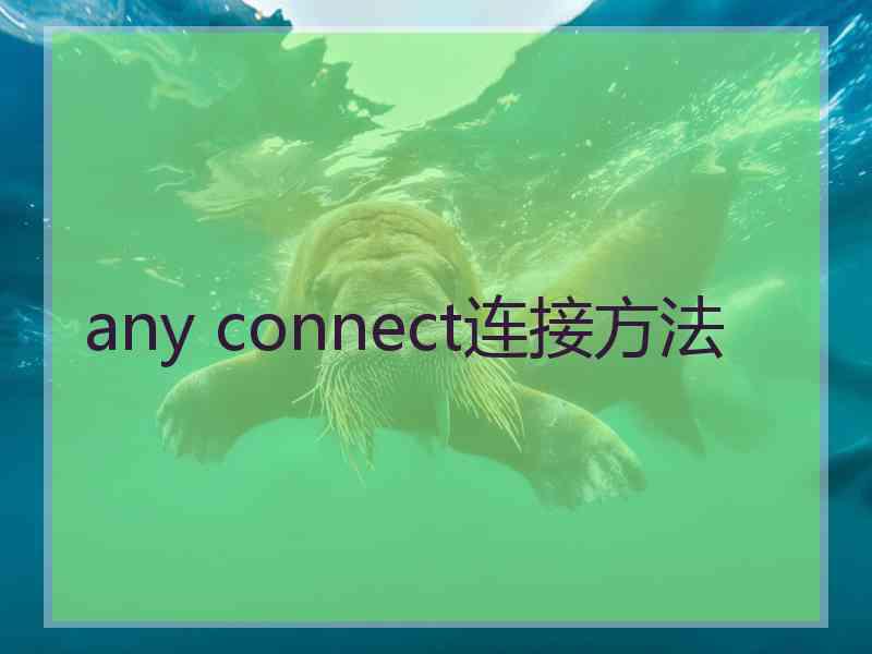 any connect连接方法
