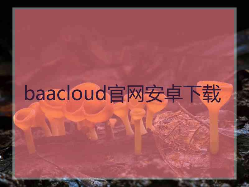 baacloud官网安卓下载