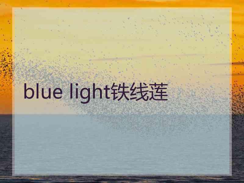 blue light铁线莲