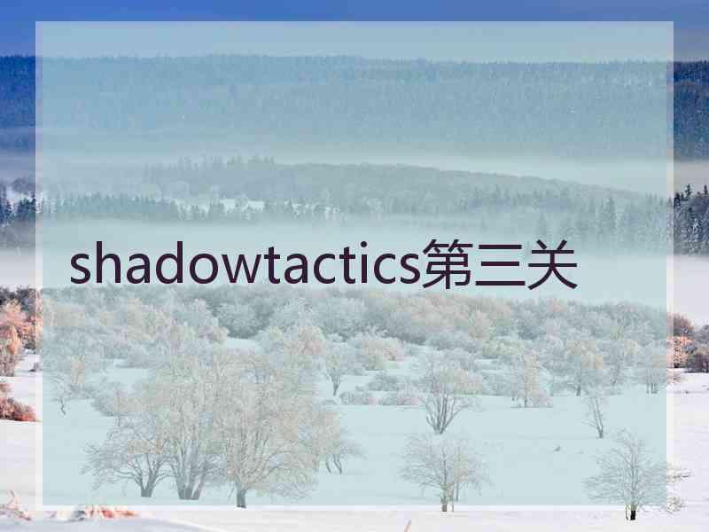 shadowtactics第三关