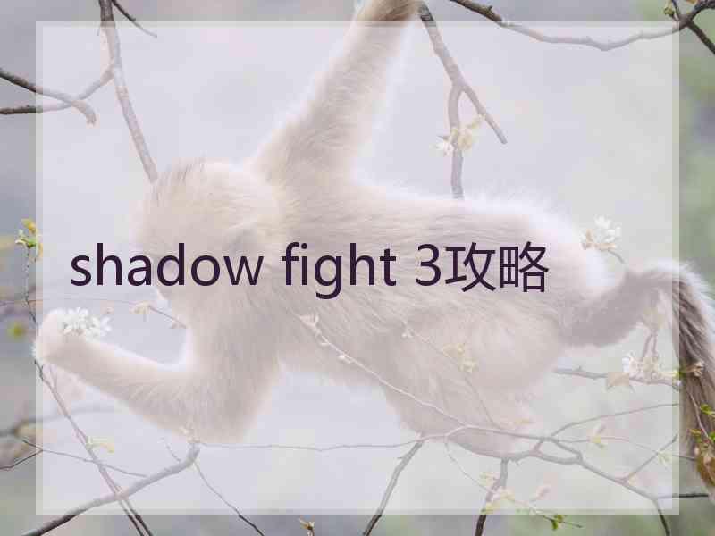 shadow fight 3攻略