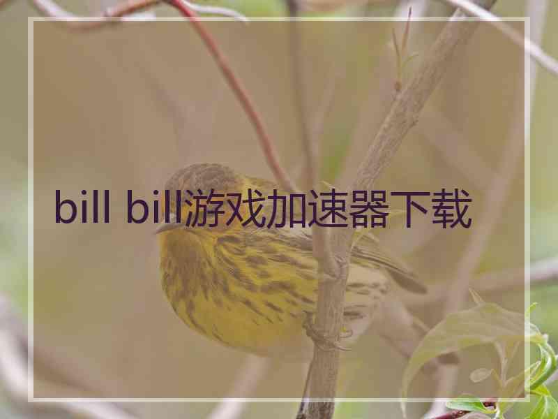 bill bill游戏加速器下载