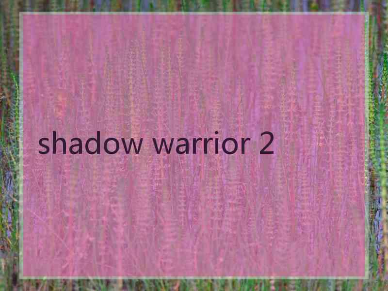 shadow warrior 2