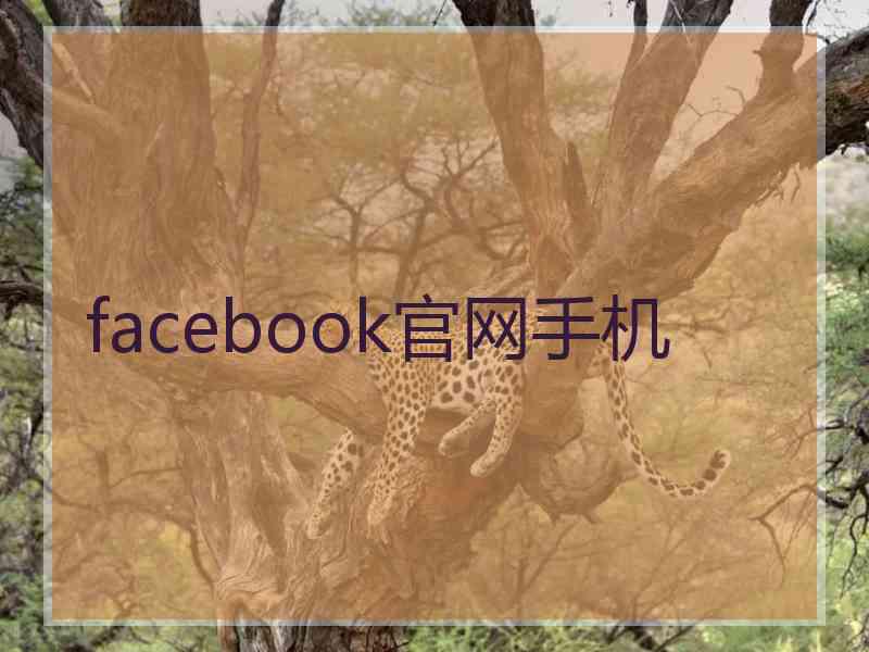facebook官网手机