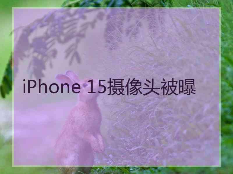 iPhone 15摄像头被曝