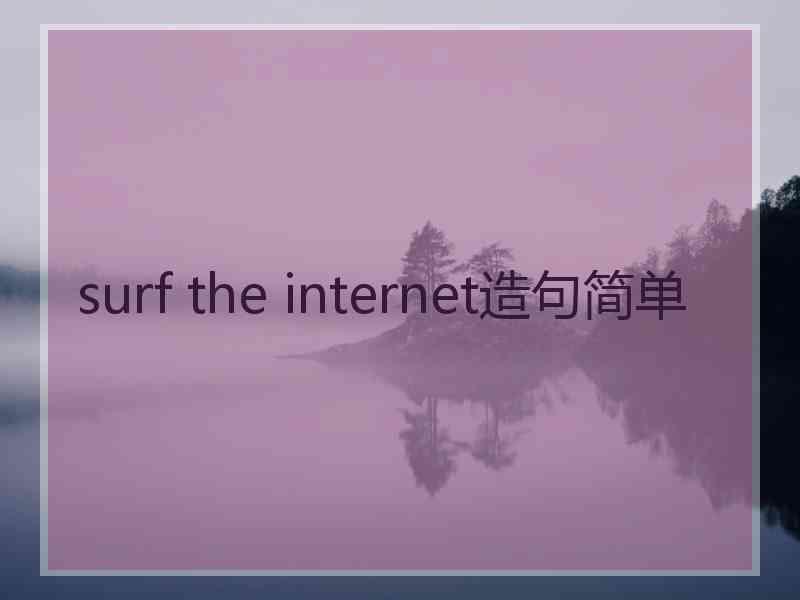 surf the internet造句简单