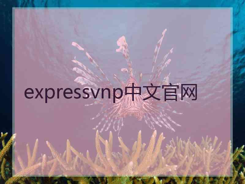 expressvnp中文官网