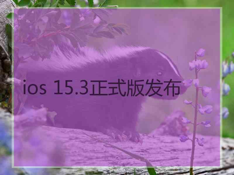 ios 15.3正式版发布
