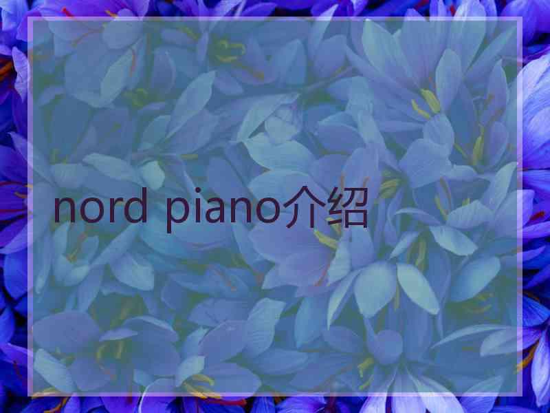 nord piano介绍