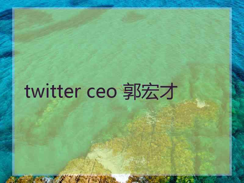 twitter ceo 郭宏才