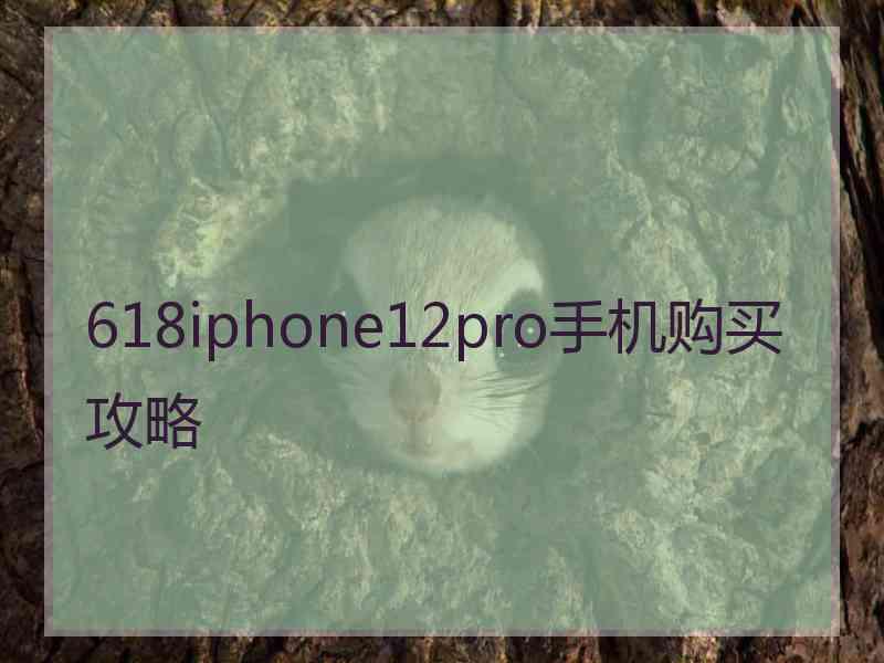 618iphone12pro手机购买攻略