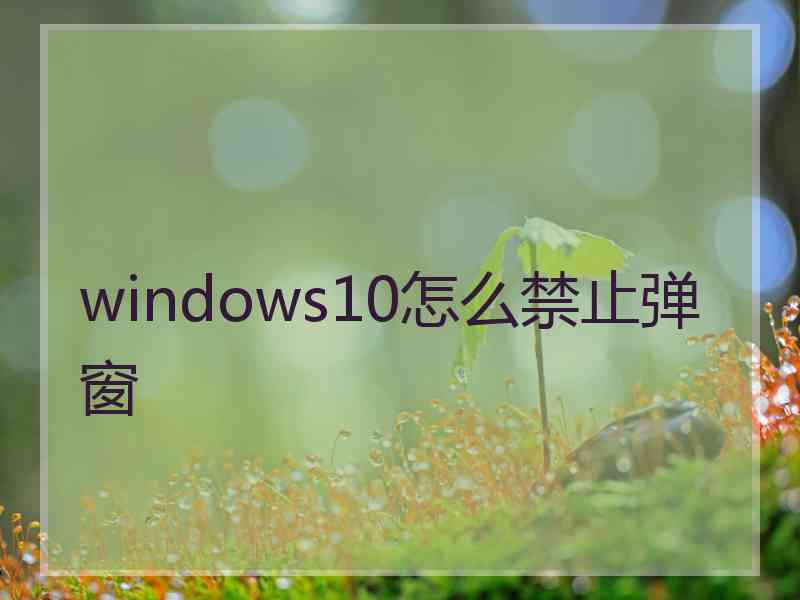 windows10怎么禁止弹窗