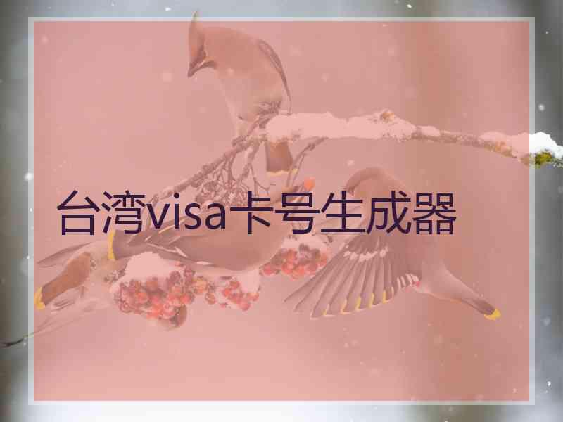 台湾visa卡号生成器