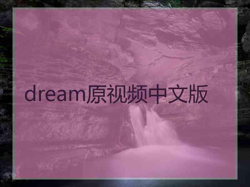 dream原视频中文版
