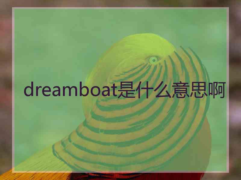 dreamboat是什么意思啊