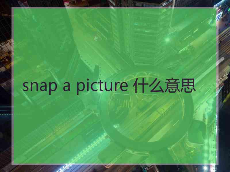 snap a picture 什么意思