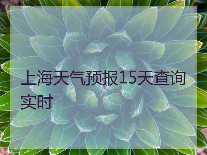 上海天气预报15天查询实时