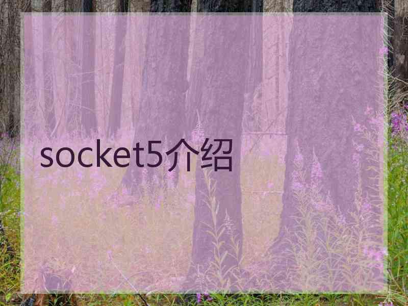socket5介绍
