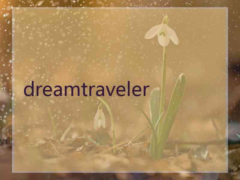dreamtraveler